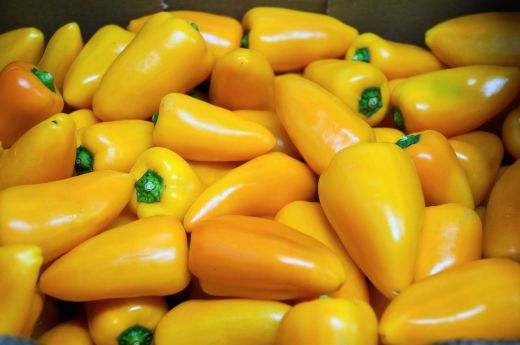 Bild von Pimientos dulces - Gegrillte Gemüsepaprika 250g
