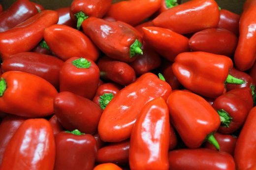 Bild von Pimientos dulces - Gegrillte Gemüsepaprika 250g