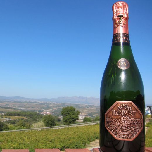 Llopart EX VITE Brut 2010